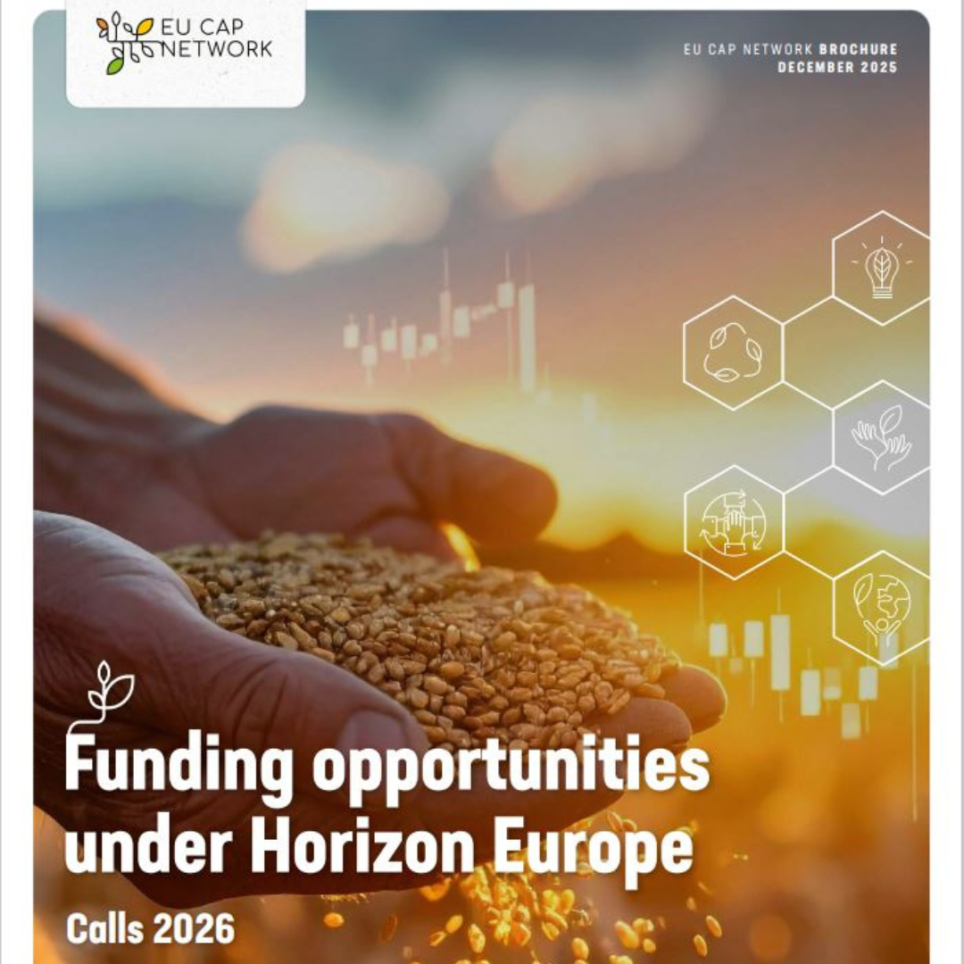 Folleto Clúster 6 del proyecto Horizonte Europa