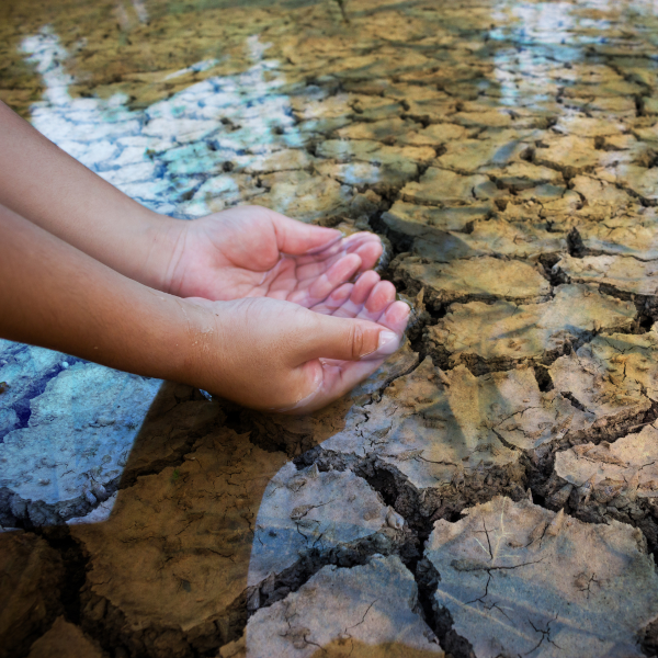 Cambio climático y gestión de recursos naturales