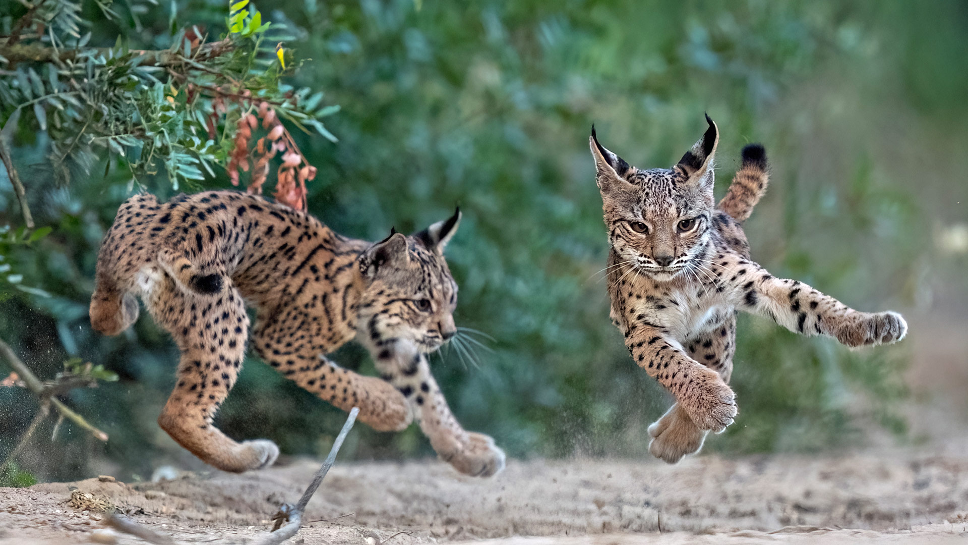 Primer premio absoluto y premio categoría Sostenibilidad
