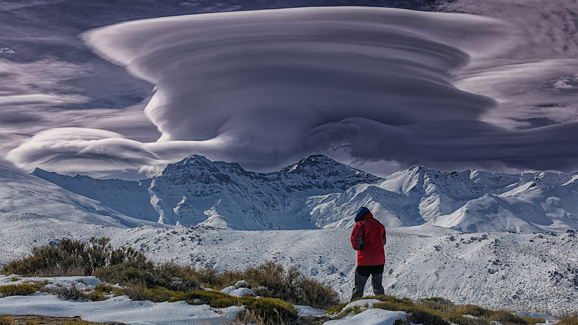 Segundo premio absoluto