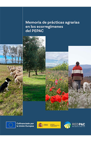 Aldeanas del siglo XXI (volúmenes de Castilla La-Mancha y de Andalucía) portada Aldeanas del siglo XXI