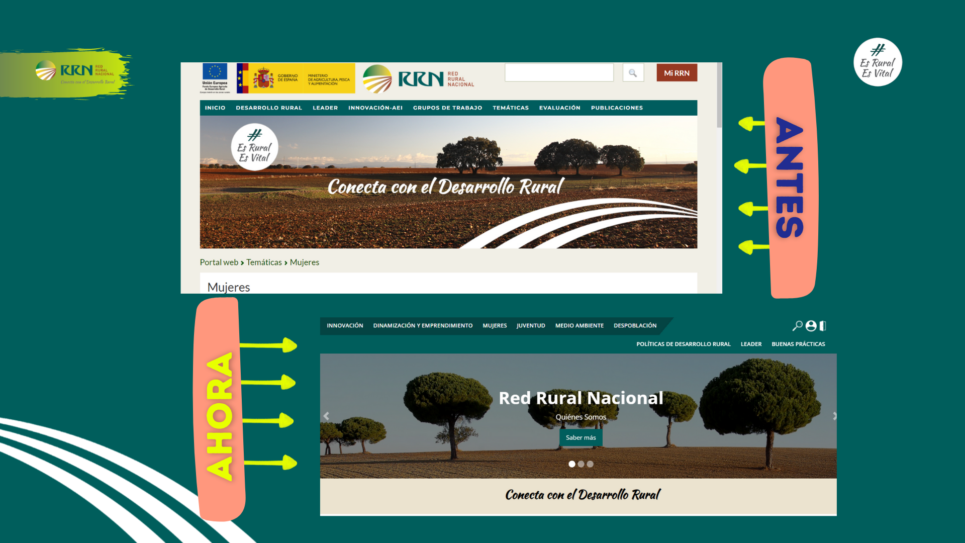 Nueva web