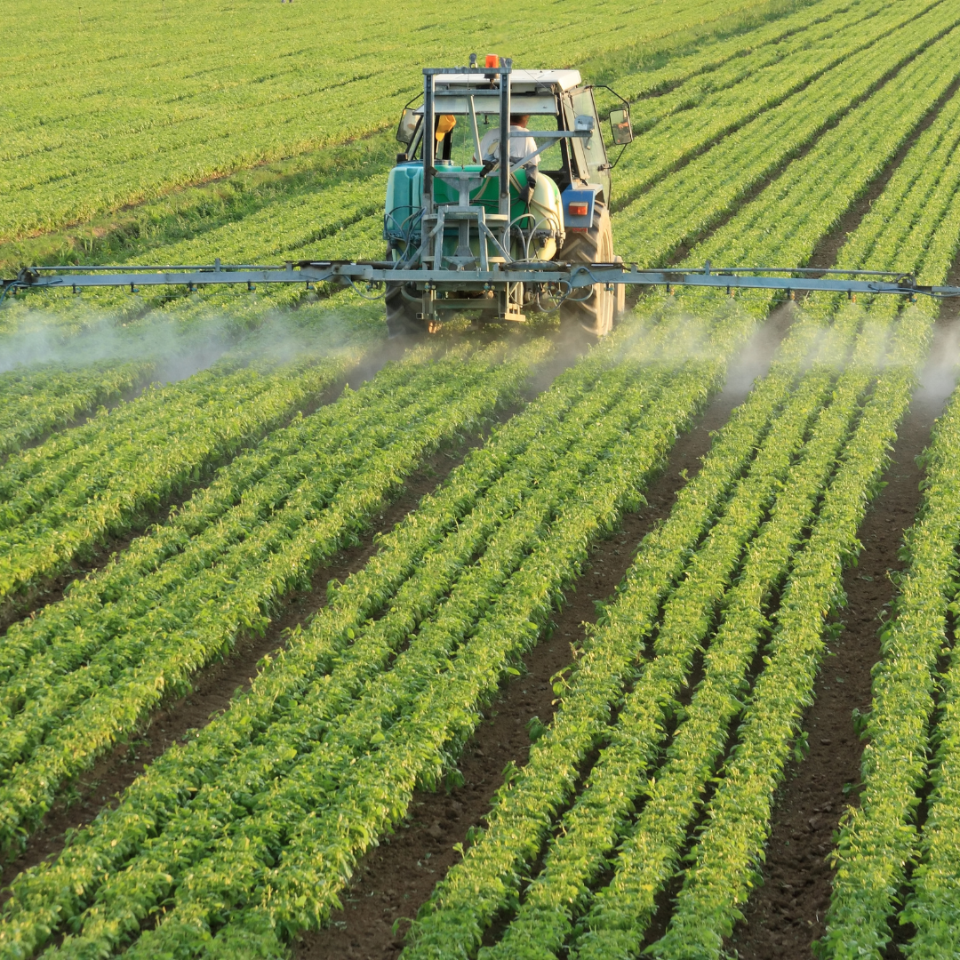 El Ministerio de Agricultura, Pesca y Alimentación destina 100 millones adicionales de ayudas directas de la PAC