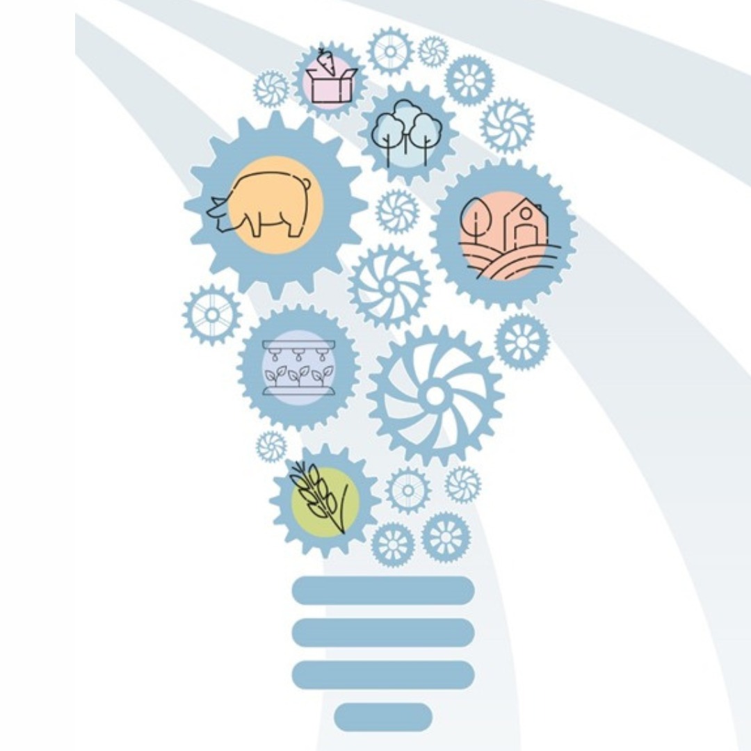 bombilla-innovación-bioeconomía