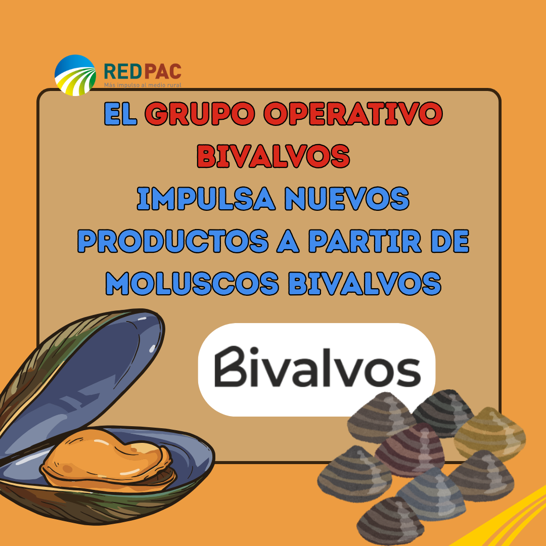 El Grupo Operativo BIVALVOS impulsa nuevos productos a partir de moluscos bivalvos