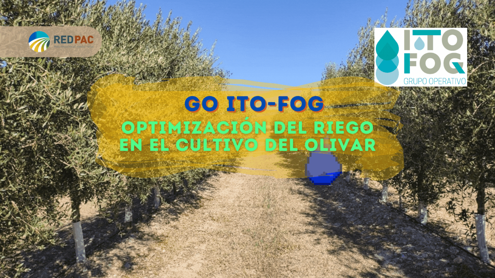 ITO-FOG