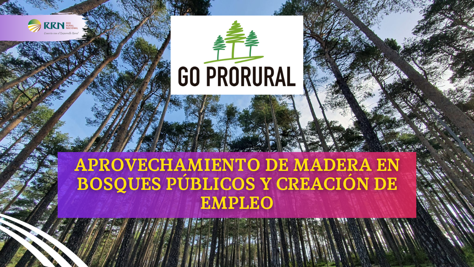 GO Prorural