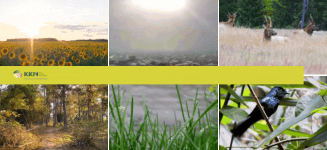 Premios Red Natura 2000