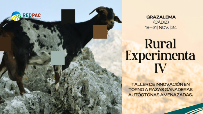 • El Ministerio de Cultura y el Ministerio de Agricultura, Pesca y Alimentación impulsan el “Taller de innovación en torno a razas ganaderas autóctonas amenazadas” dentro del proyecto “Rural Experimenta IV”