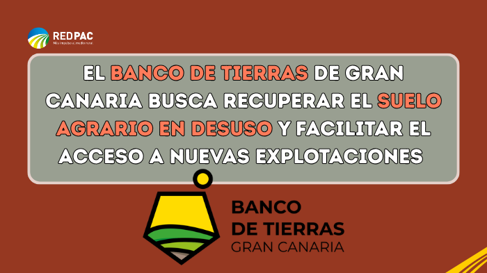 El Banco de Tierras de Gran Canaria impulsa la recuperación de tierras agrarias abandonadas y nuevas explotaciones 