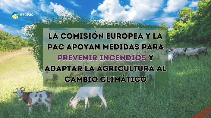 La PAC La PAC apoya medidas para prevenir incendios forestales y adaptar la agricultura al cambio climático La PAC apoya medidas para prevenir incendios forestales y adaptar la agricultura al cambio climático La PAC apoya medidas para prevenir incendios forestales y adaptar la agricultura al cambio climático La PAC apoya medidas para prevenir incendios forestales y adaptar la agricultura al cambio climático La PAC apoya medidas para prevenir incendios forestales y adaptar la agricultura al cambio climático 