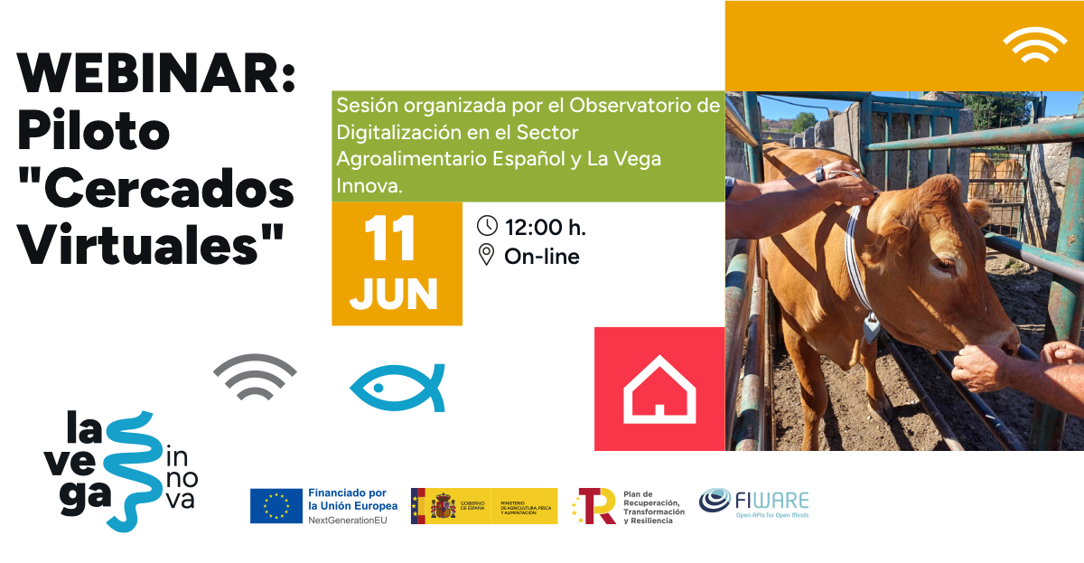 Webinar Cercados Virtuals