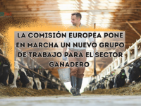 GRUPO GANADERÍA