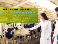 Prácticum Odisseu
