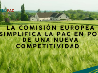 simplificación PAC