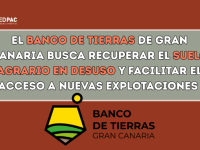 El Banco de Tierras de Gran Canaria impulsa la recuperación de tierras agrarias abandonadas y nuevas explotaciones 