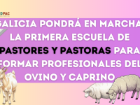 Galicia pondrá en marcha su primera escuela de pastores para formar a profesionales del ovino y caprino en extensivo