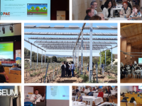 La Red PAC promueve el intercambio de conocimiento científico en el sector vitivinícola en una jornada en el Penedès y el Priorat catalán