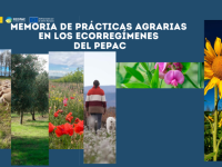 La Red PAC publica la “Memoria de prácticas agrarias en los ecorregímenes del PEPAC”, una práctica guía con sus requisitos y ejemplos reales