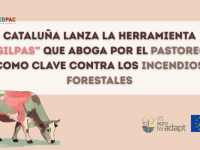 Cataluña lanza la herramienta “SilPas” que apuesta por el pastoreo como clave contra los incendios forestales